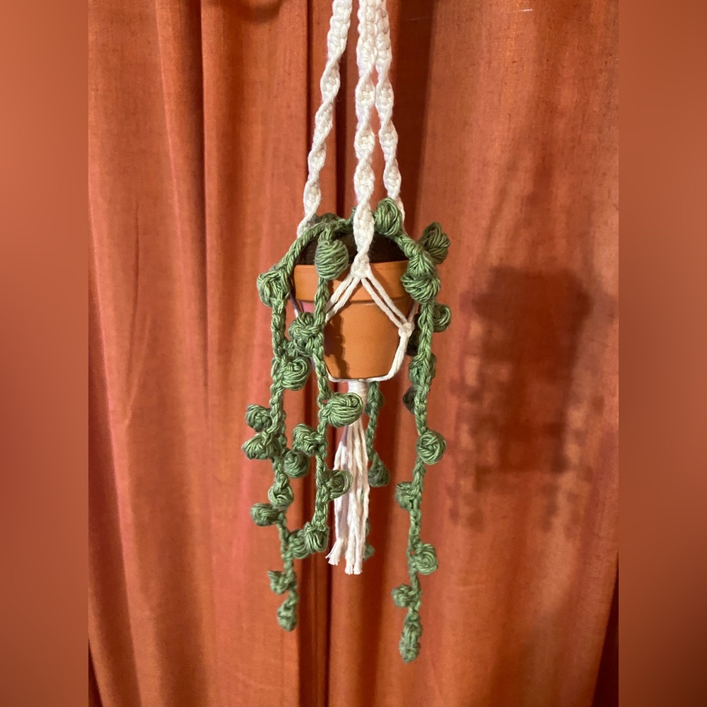 🌿 Mini Handmade Crocheted Hanging Plant + Gift Box 🌿